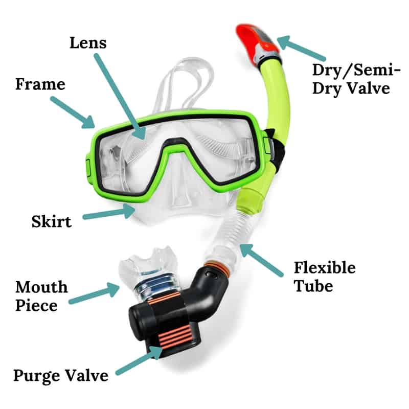 The Best Mask And Snorkel in Australia for 2023 | The Adventure Lab